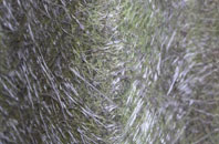 Wouldham fibreglass roof work